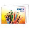 BLOCS DIBUJO 330x230 Con Recuadro 20-H 130gr. Espiral