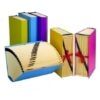 CARPETA 20 BOLSAS ACORDEON CARTON 365x250x50