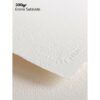 LAMINAS ACUARELA Arches 56x76 300gr Grano Grueso Biana