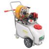 CARRETILLA SULFATAR 50L. 2T MADER