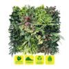 JARDIN VERTICAL 50X50CM SERIE ARBÓREA SUNGARDEN