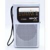 RADIO PORTATIL AM/FM ANALOGICA GRIS FM-4406 GEN-X