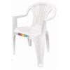 SILLA PLASTICA JARDIN CON REPOSABRAZOS BLANCA
